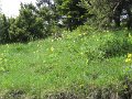 IMG_8444
