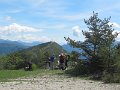 IMG_8445