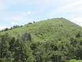 IMG_8449