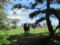 IMG_8450