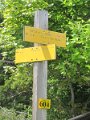 IMG_8451