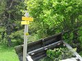 IMG_8452