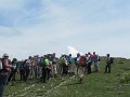 IMG_8459