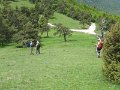 IMG_8460