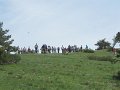 IMG_8461