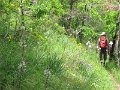 IMG_8467