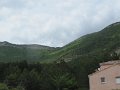 IMG_8471