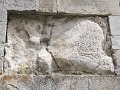 IMG_8475