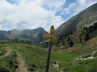 IMG 9242