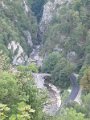IMG_9258