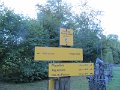 IMG_9262