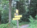 IMG_9263