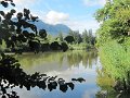 IMG_9271