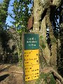 IMG_2544