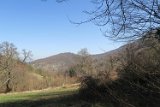IMG_2545