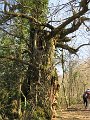 IMG_2546