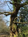 IMG_2547