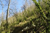 IMG_2554