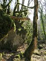 IMG_2556