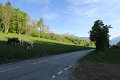 IMG_2614