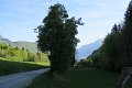 IMG_2615