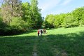 IMG_2618