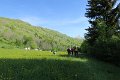 IMG_2619
