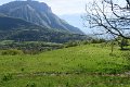 IMG_2621