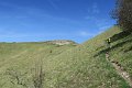 IMG_2624