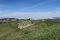 IMG_2627