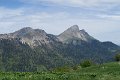 IMG_2645