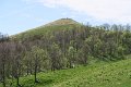 IMG_2647