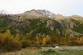 IMG_2958