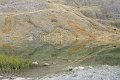 IMG_2976