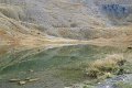 IMG_2977