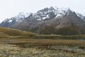 IMG_2981