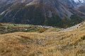IMG_2997