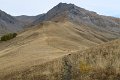 IMG_3020