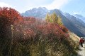 IMG_3030