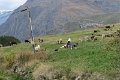 IMG_3040