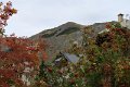 IMG_3049