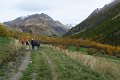 IMG_3057