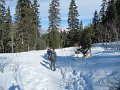 IMG_2265