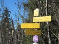IMG_2266