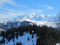 IMG_2269