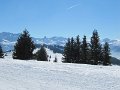 IMG_2277