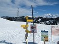 IMG_2279