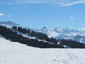 IMG_2282