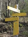 IMG_2291