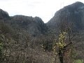 IMG_2293